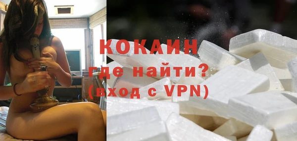 твердый Арсеньев