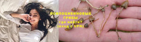 твердый Арсеньев
