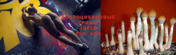 твердый Арсеньев