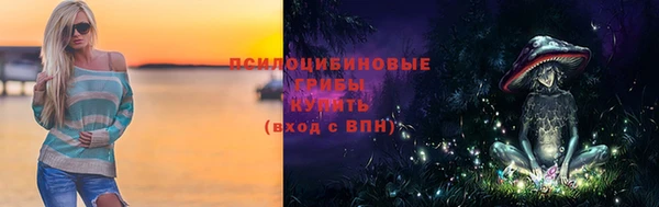 твердый Арсеньев