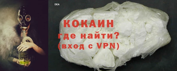 твердый Арсеньев