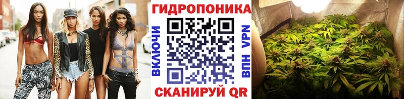 OMG tor  Суворов  Шишки марихуана планчик 